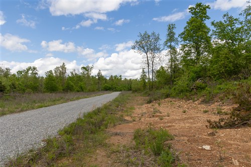 Sleepy Hollow Phase II Tract 105