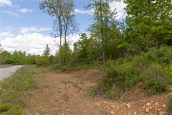 Sleepy Hollow Phase II Tract 105