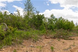 Sleepy Hollow Phase II Tract 105