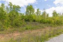 Sleepy Hollow Phase II Tract 105