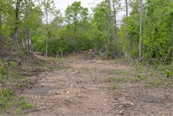 Sleepy Hollow Phase II Tract 107
