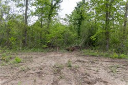 Sleepy Hollow Phase II Tract 107