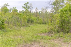 Sleepy Hollow Phase II Tract 107