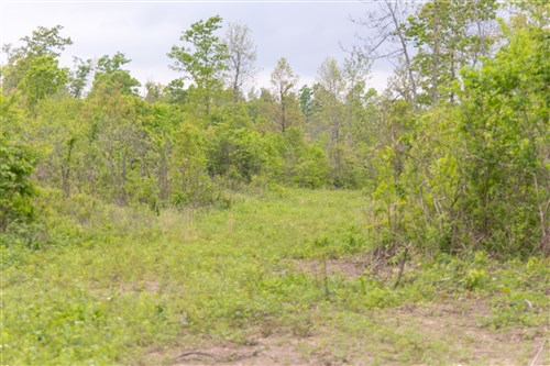 Sleepy Hollow Phase II Tract 107