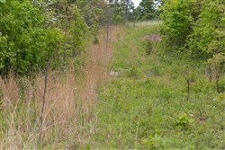 Sleepy Hollow Phase II Tract 107