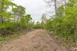 Sleepy Hollow Phase II Tract 108
