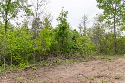 Sleepy Hollow Phase II Tract 108