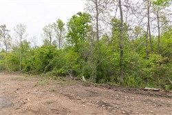Sleepy Hollow Phase II Tract 108