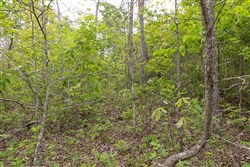 Sleepy Hollow Phase II Tract 108