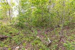 Sleepy Hollow Phase II Tract 108