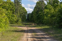 Sleepy Hollow Phase II Tract 60