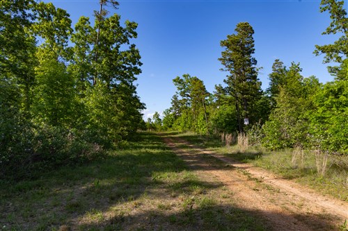Sleepy Hollow Phase II Tract 60