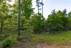 Sleepy Hollow Phase II Tract 60
