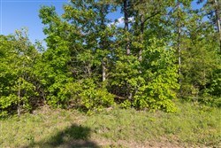Sleepy Hollow Phase II Tract 60