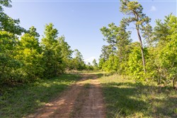 Sleepy Hollow Phase II Tract 61