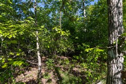 Sleepy Hollow Phase II Tract 61