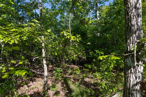 Sleepy Hollow Phase II Tract 61