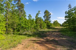 Sleepy Hollow Phase II Tract 61
