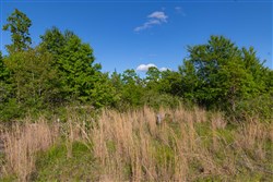 Sleepy Hollow Phase II Tract 61