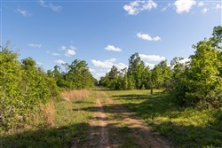 Sleepy Hollow Phase II Tract 61