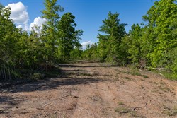 Sleepy Hollow Phase II Tract 62