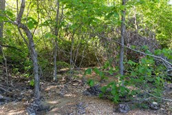 Sleepy Hollow Phase II Tract 62