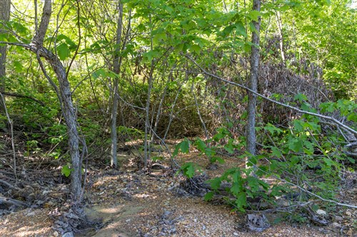 Sleepy Hollow Phase II Tract 62
