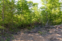 Sleepy Hollow Phase II Tract 62