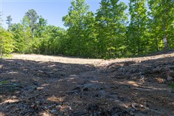 Sleepy Hollow Phase II Tract 62