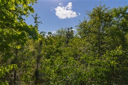 Sleepy Hollow Phase II Tract 62