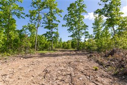 Sleepy Hollow Phase II Tract 63