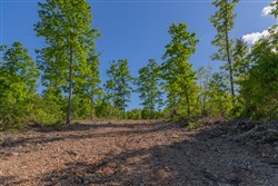 Sleepy Hollow Phase II Tract 63