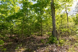 Sleepy Hollow Phase II Tract 63