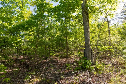 Sleepy Hollow Phase II Tract 63