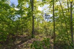 Sleepy Hollow Phase II Tract 63