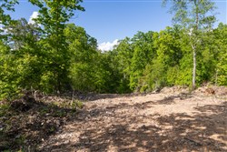 Sleepy Hollow Phase II Tract 63
