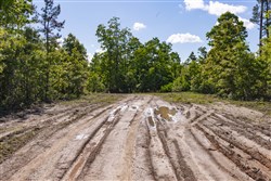 Sleepy Hollow Phase II Tract 64