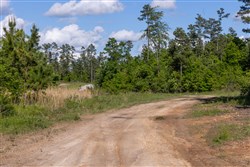 Sleepy Hollow Phase II Tract 64