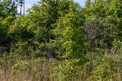 Sleepy Hollow Phase II Tract 64