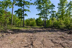 Sleepy Hollow Phase II Tract 65