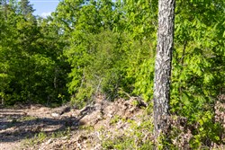 Sleepy Hollow Phase II Tract 65