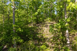 Sleepy Hollow Phase II Tract 65