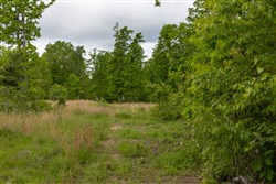 Sleepy Hollow Phase II Tract 66