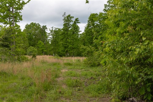 Sleepy Hollow Phase II Tract 66