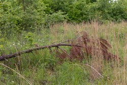 Sleepy Hollow Phase II Tract 66