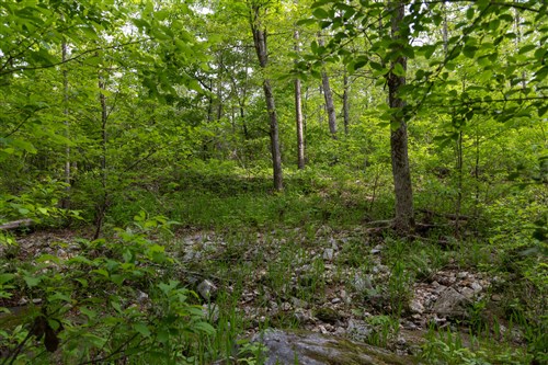 Sleepy Hollow Phase II Tract 66