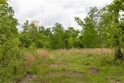 Sleepy Hollow Phase II Tract 66