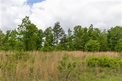 Sleepy Hollow Phase II Tract 66