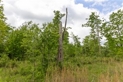 Sleepy Hollow Phase II Tract 66
