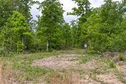 Sleepy Hollow Phase II Tract 67
